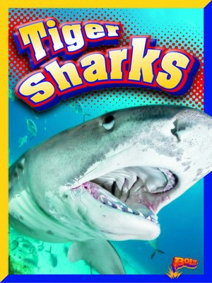 cover image of Tiger Sharks